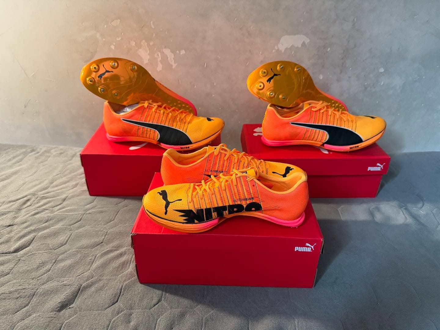 PUMA evoSPEED Forte NITRO gold